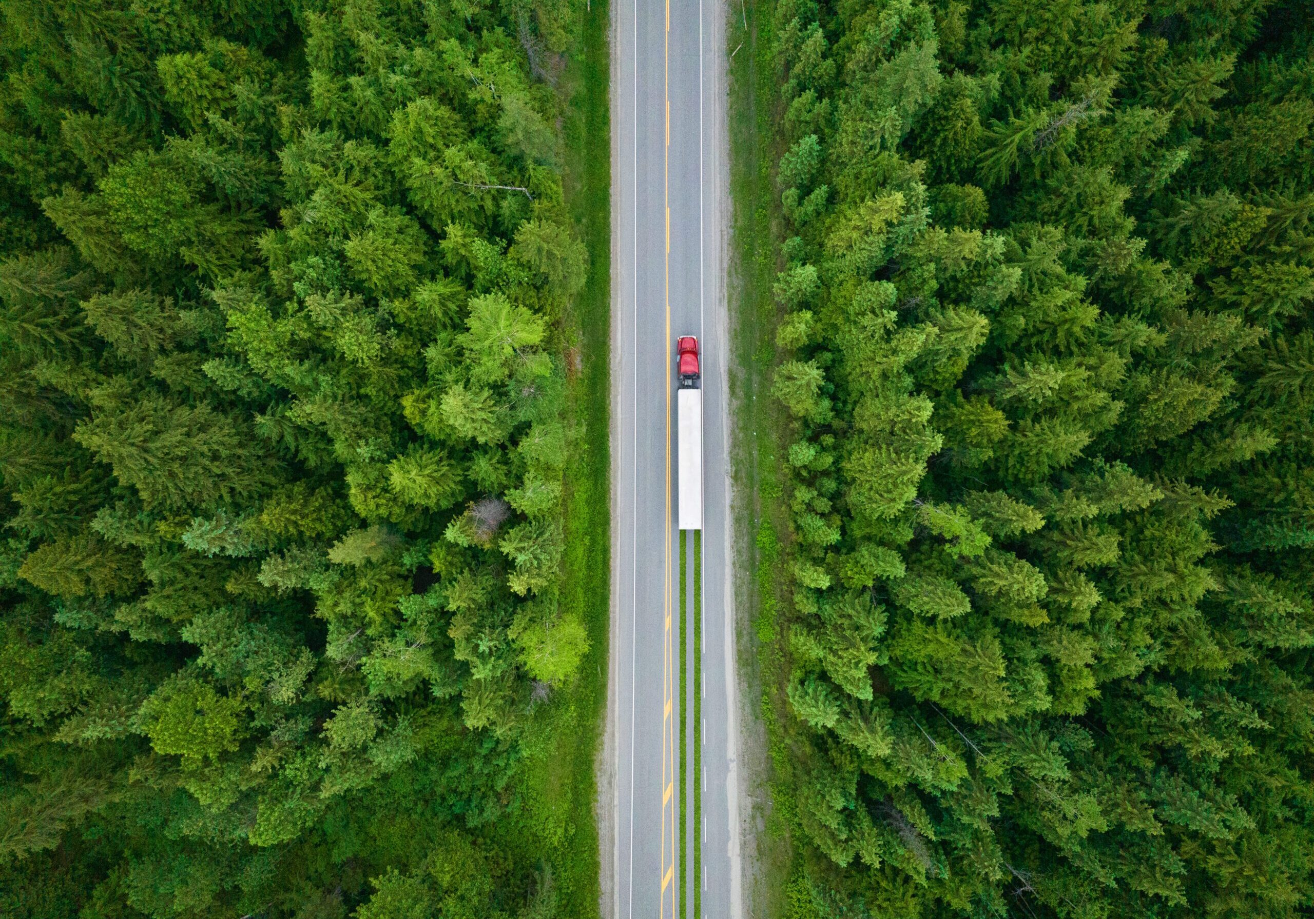 Semi Top Down Trees